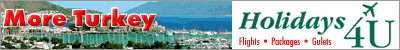 H4U_400x50_ani