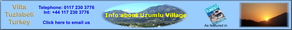 Info about Uzumlu Village