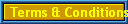 Terms & Conditions for Villa Rental